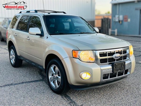 2010 FORD ESCAPE LIMITED
